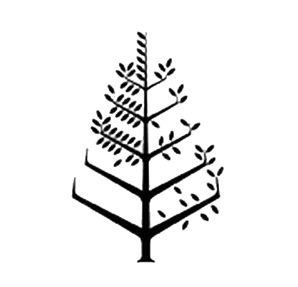 波士顿四季酒店 Logo